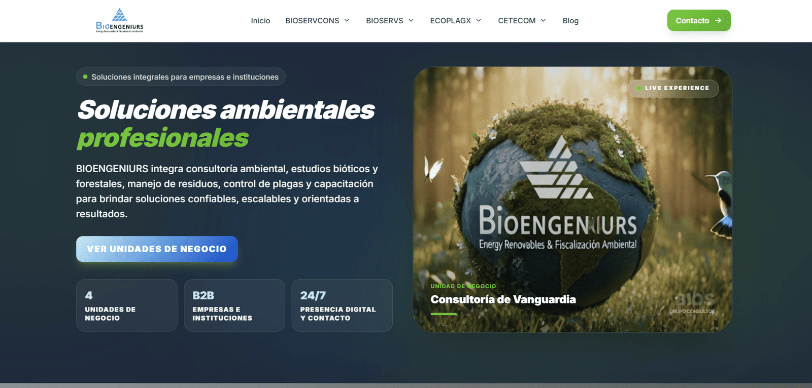 Pagina web profesional 